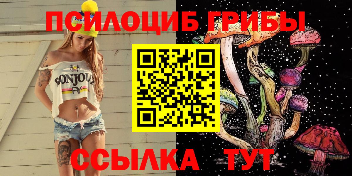 Галлюциногенные грибы Psilocybe Ленинск-Кузнецкий