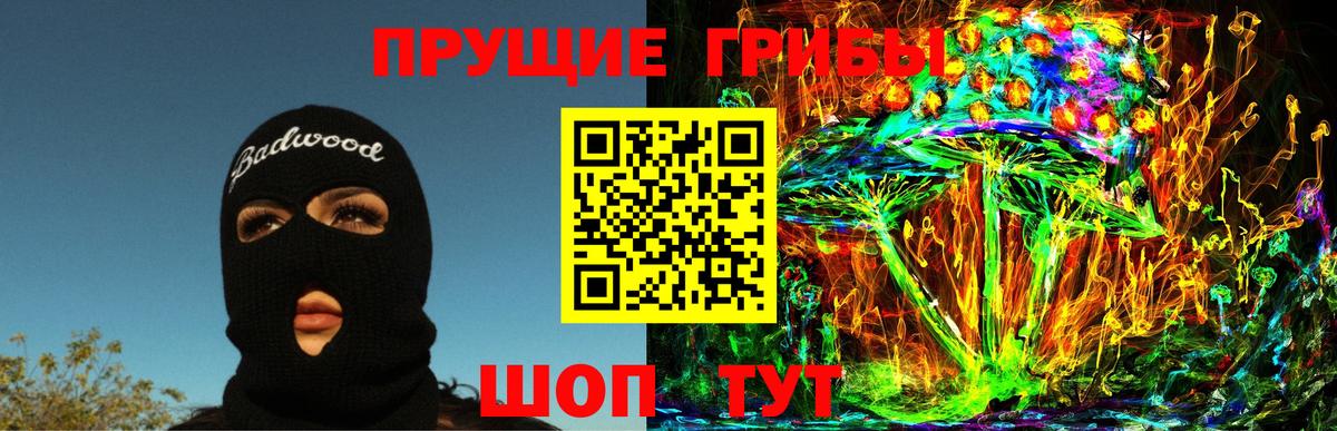 Ленинск-Кузнецкий  Псилоцибиновые грибы Psilocybine cubensis  Галлюциногенные грибы Psilocybine cubensis  Вход с VPN 